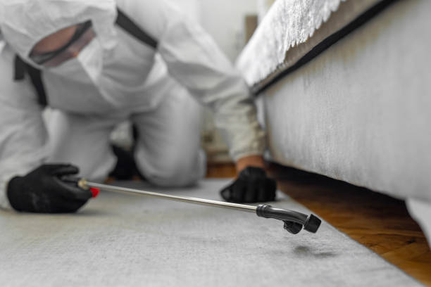 Professional Bed Bug Control technician working in Royal Oak, MI