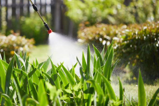 24/7 Emergency Bed Bug Control experts in Royal Oak, MI