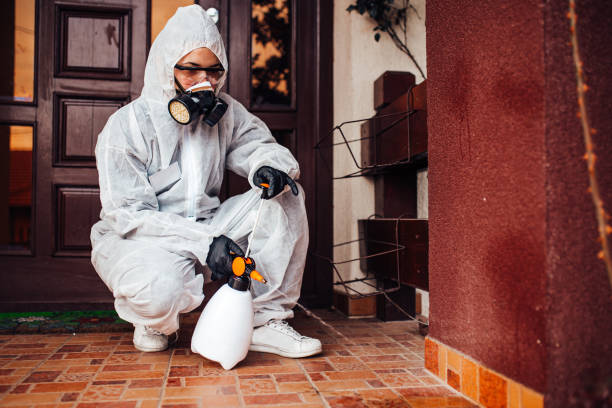 Reliable Bed Bug Control contractor in Royal Oak, MI by Nex Pest Control