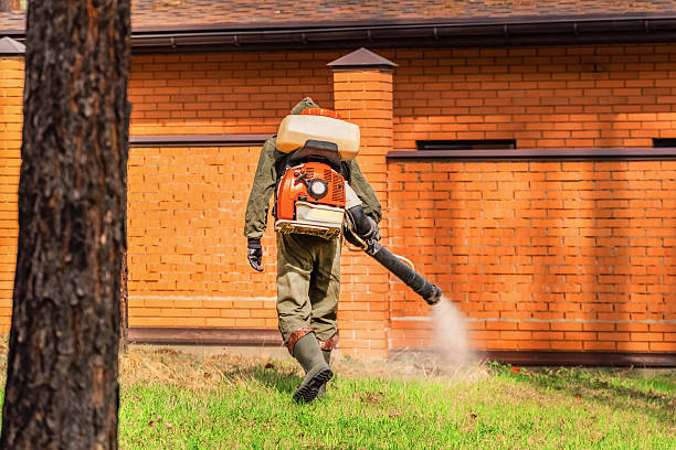 Trusted Rodent Control service in Royal Oak, MI - Nex Pest Control